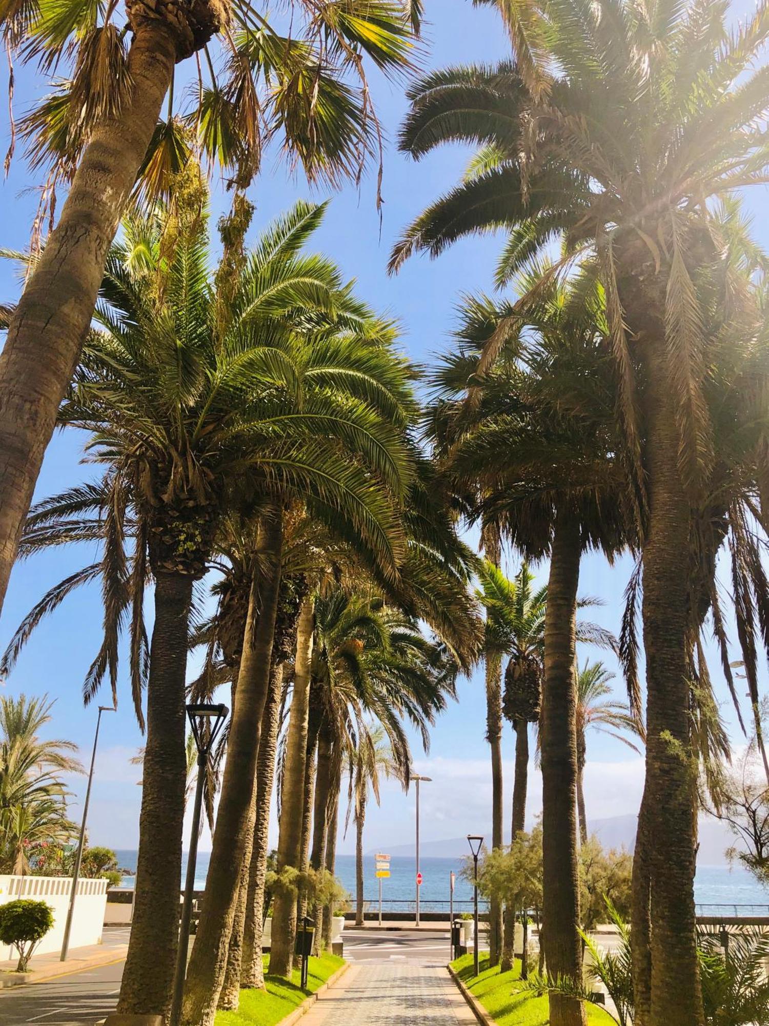 Estudio Tinerfe Puerto de la Cruz  Bagian luar foto